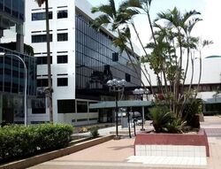 United House (D9), Office #561587301